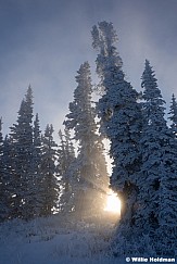 Foggy Pines Lake Creek 120125 7180 2