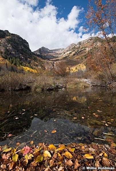 Timpanogos Reflection Pond 101012 144