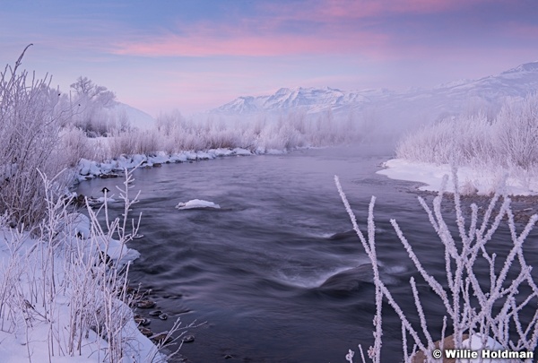 Provo River Frost Timp 011316 9580