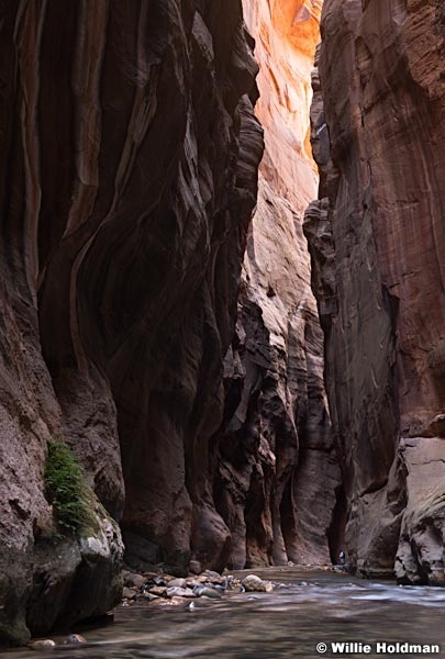 Zion Narrows 110619 4815 3