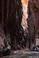 Zion Narrows 110619 4815 3
