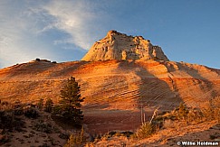 Sandstone Swirls Kanab 032012 184