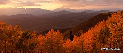 Golden Aspens 092712