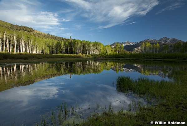Willow Lake Reflection 061513 9102