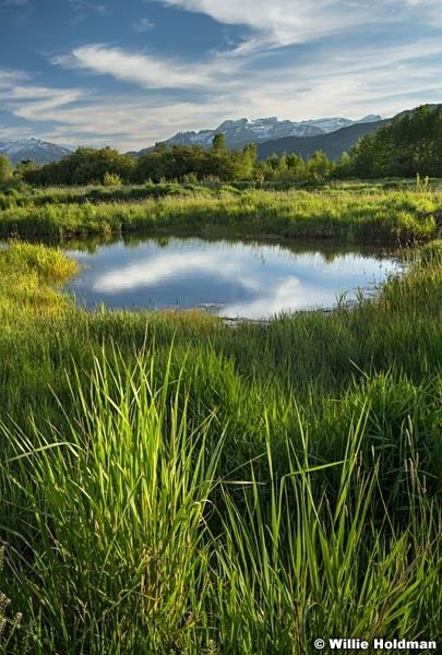 Spring Timpanogos 052516 9381 2