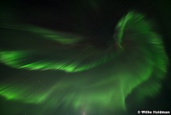 Northen Lights Wings 6687