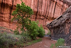 Escalante Choperock 060516 0855