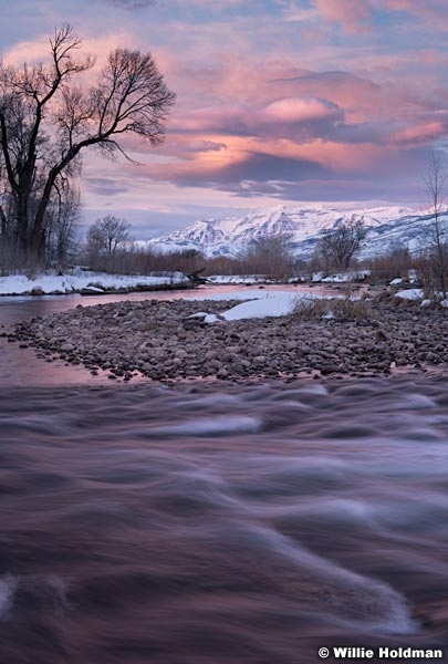 Provo River Timp Purples 022719 8737