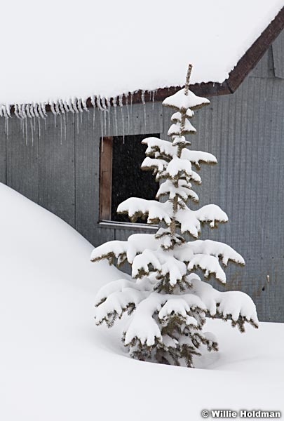 Park City Mine 032313 2963