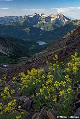 Yellow Flowers Timpanogos 070122 1076