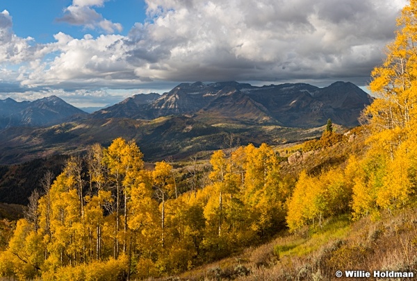 Timpanogos golden aspens 100216 9934