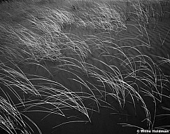 217000009615BW