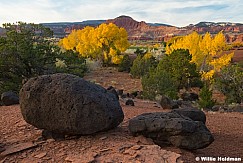 Torrey Knoll Autumn Colors 102624 4192