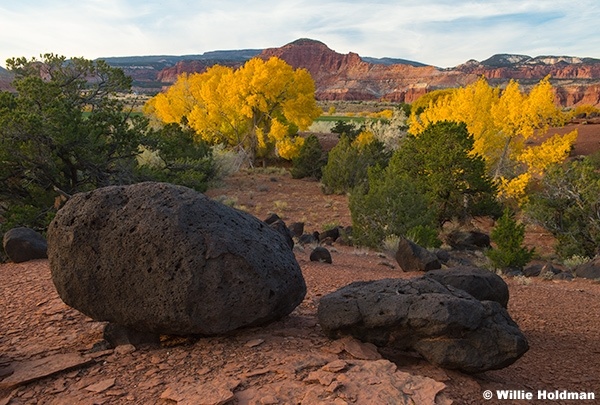 Torrey Knoll Autumn Colors 102624 4192