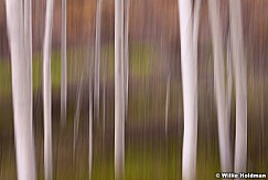 Aspen Abstract 051815