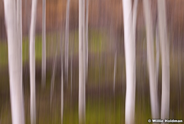 Aspen Abstract 051815
