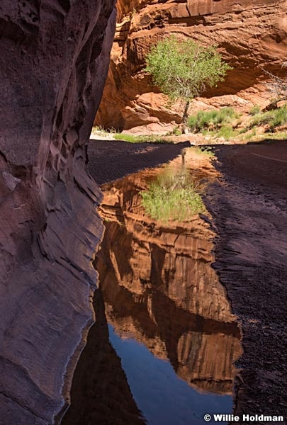 Escalante Choprock Canyon 060516 1192