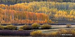 Aspen Grove Uinta 092812