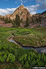 Skunk Cabbage Meadow 062321 2389