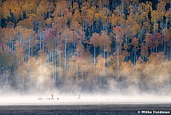 Pelicans Clouds Fish Lake 100323 8054 8054