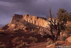 Desert Storm San Rafael 041214 4853