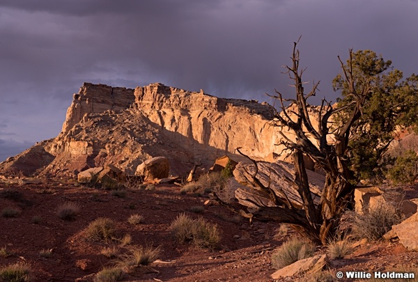 Desert Storm San Rafael 041214 4853