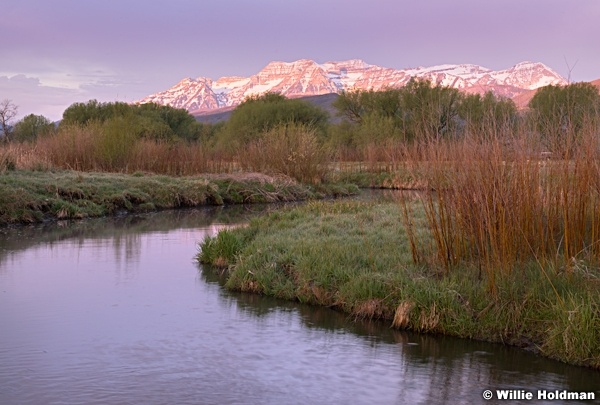Timpanogos Spring 043015 8276