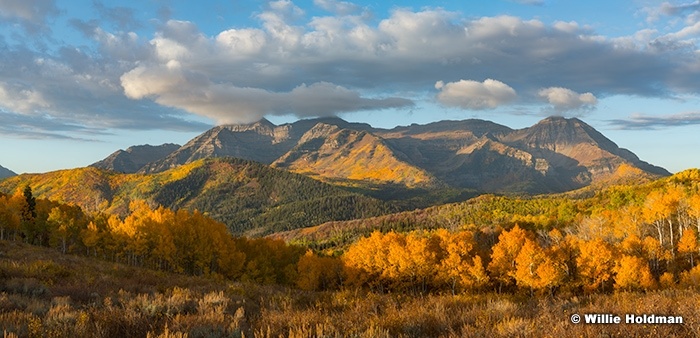 Timpanogos Autumn Splendor 100125 0655