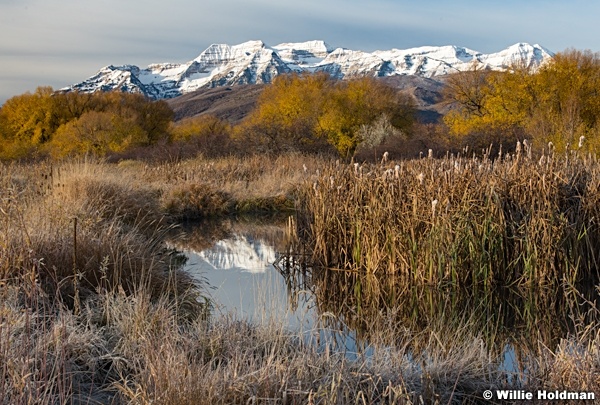 Timpanogos Cottonwoods Stream 103021 1206 3