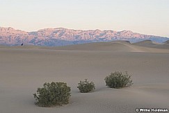 deathvalleydunes041111 750