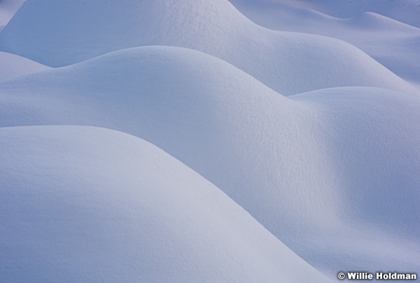 Bumps in fresh snow 122515 3