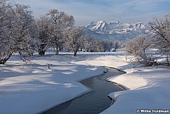 Timpanogos winter stream 012316 0766