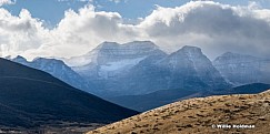 Timpanogos in the Clouds 111716 20x40