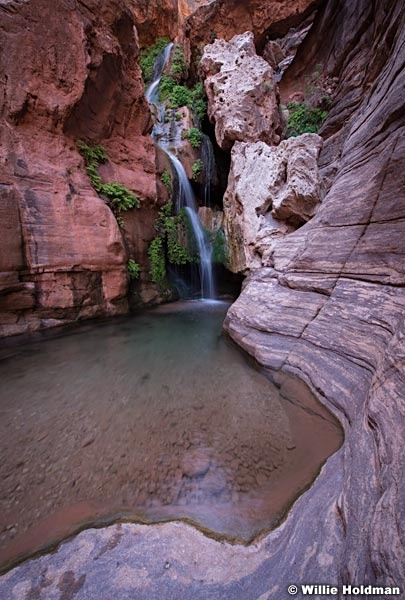 Elves Chasm Grand Canyon 040714 3892