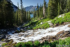 Redpinelakestream080811 103