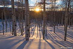 Aspen Snow Field Sunset 020122 4858
