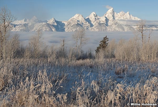 tetonfrostl111709