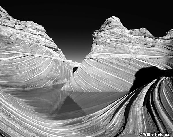 100450004303BW