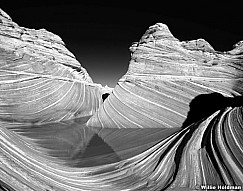 100450004303BW