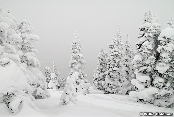 winter020808 IMG 06929