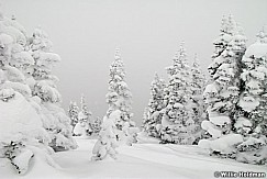 winter020808 IMG 06929