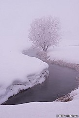 Frosty Tree Midway 022516 2846