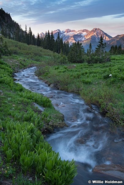 Timpanogos Spring Stream 060821 34 3