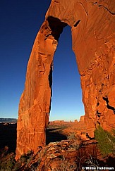 Droyalarch