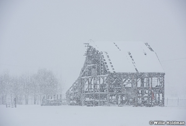 Barn Skeleton Winter 012617 1910