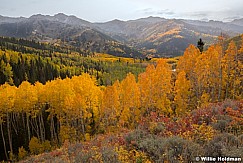 WOW Colors Big Cottonwood Canyon 092821 5024