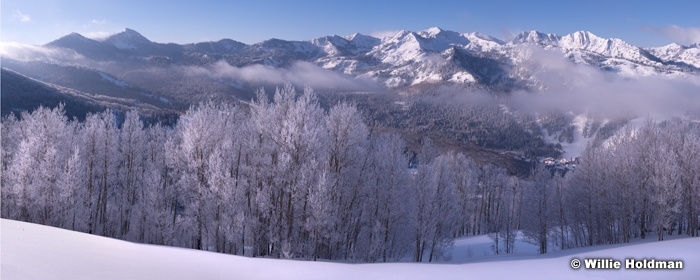 Big Cottonwood Powder 030415