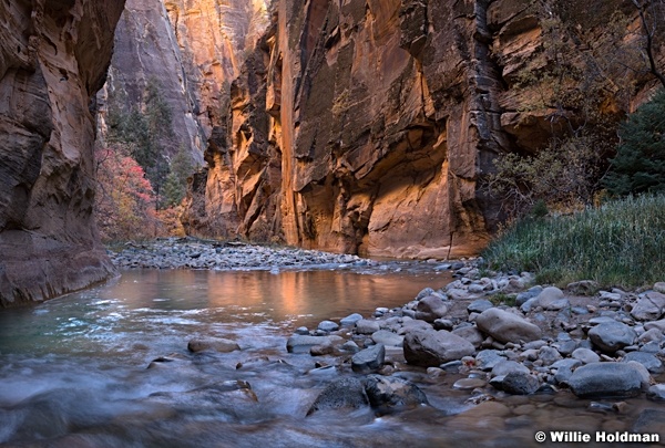 Glowing Zion Narrows 110519 4155