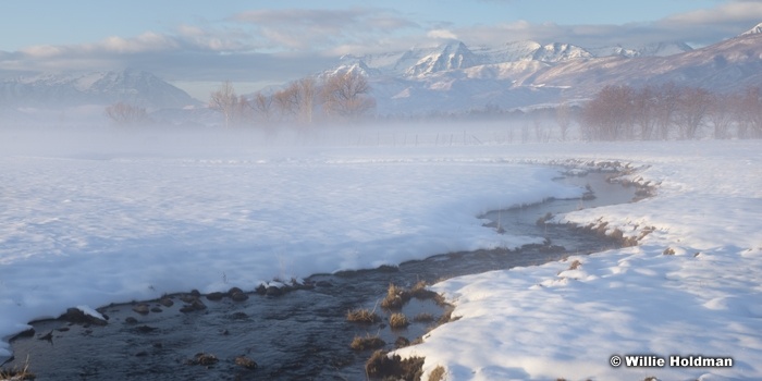 Winters S Curve Stream 120319 3037