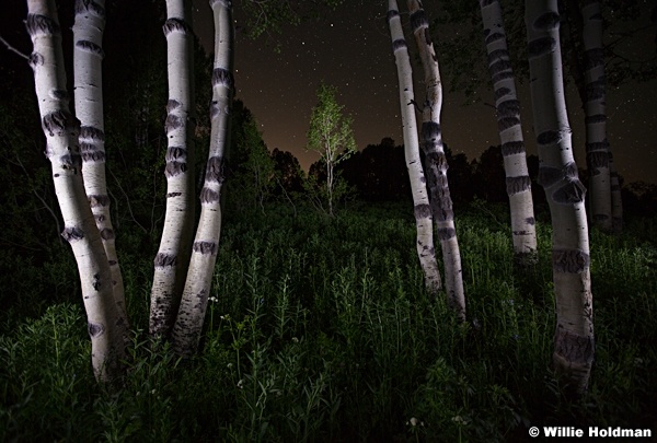 Night Aspen Stars 070111 27